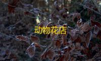 动物花店